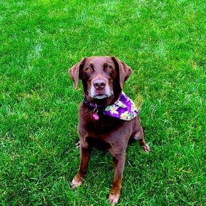 Meet your Posher, Stacey